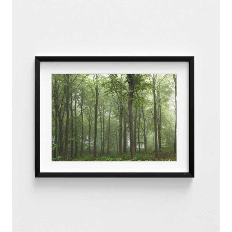 «Foggy Forest», art danois (encadré), H 30 po x l 40 po, Reproduction encadrée avec passe-partout, Noir
