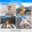 Tapis de dressage pour chiens