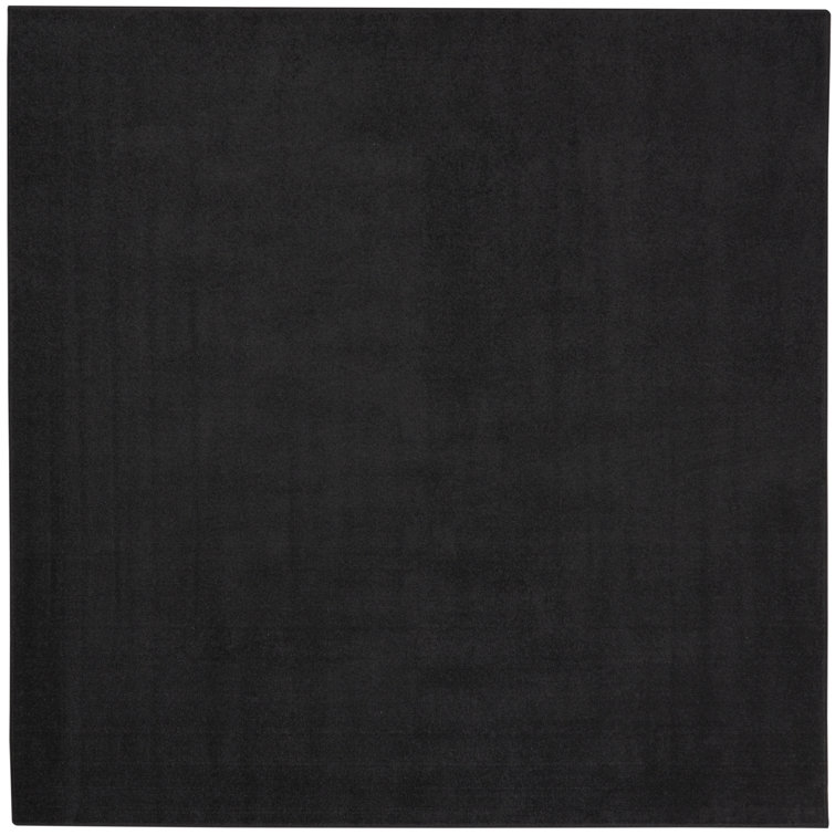 Nourison Essentials Black Indoor/Outdoor Area Rug