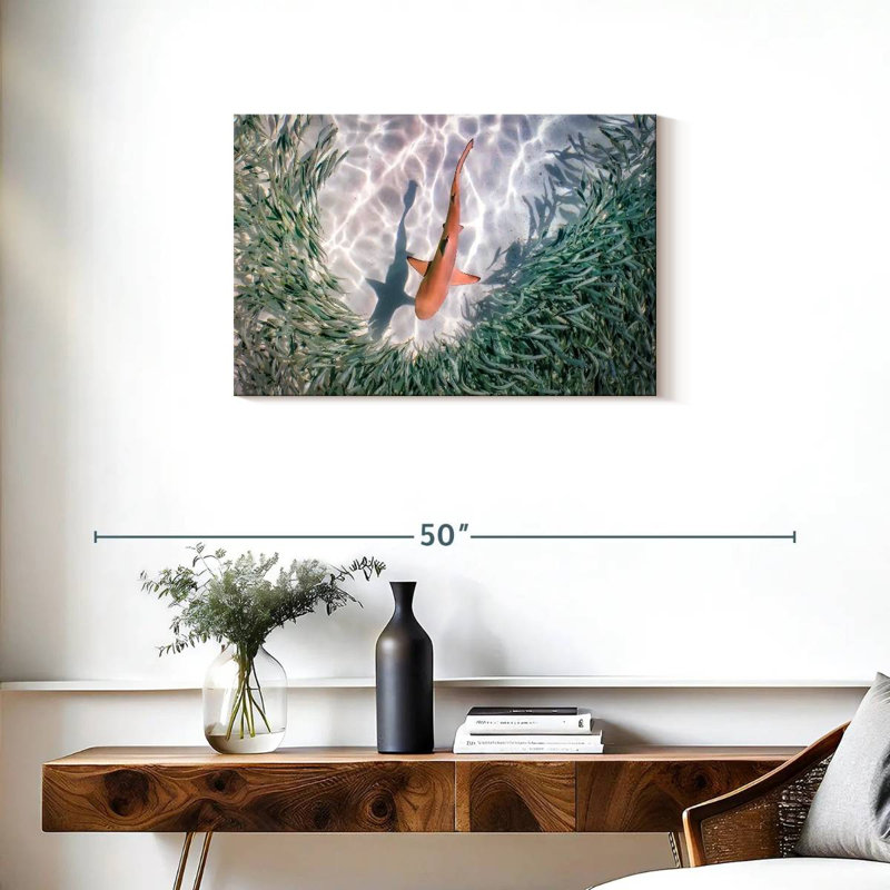 Brampt Baby Blacktip Reef Shark, 20" H x 30" W