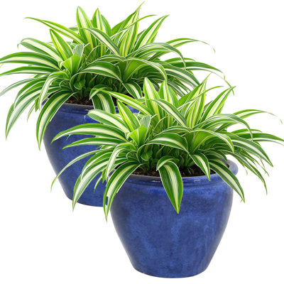Jardinière extérieure ronde en céramique 11,75 po x 11,75 po x 9,5 po Chalet - bleu impérial