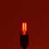 0.5 Watt S14 LED Coloured String Light Bulb, E26/Medium (Standard) Base