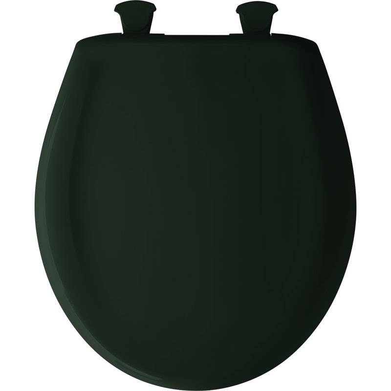 Round Toilet Seat and Lid, Rain Forest