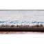Oriental Area Rug-1681616388