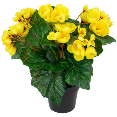 Arrangement floral 11 po