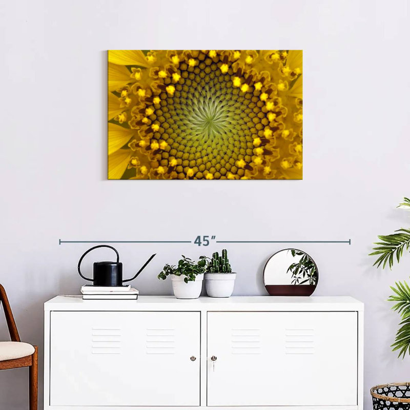 Harnek Symmetric Sunflower, 20" H x 30" W