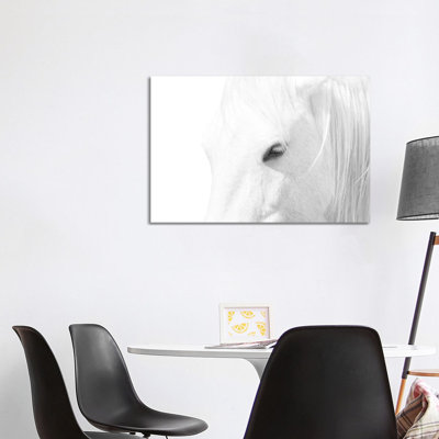 « Cheval blanc » par Marco Carmassi-impression d’art graphique
