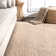 Owensby Braided Tan Indoor/Outdoor Rug