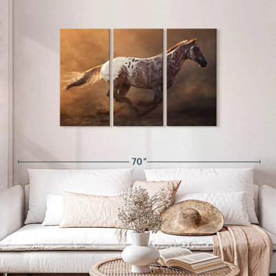 Cheval Bramalo Fast Appaloosa