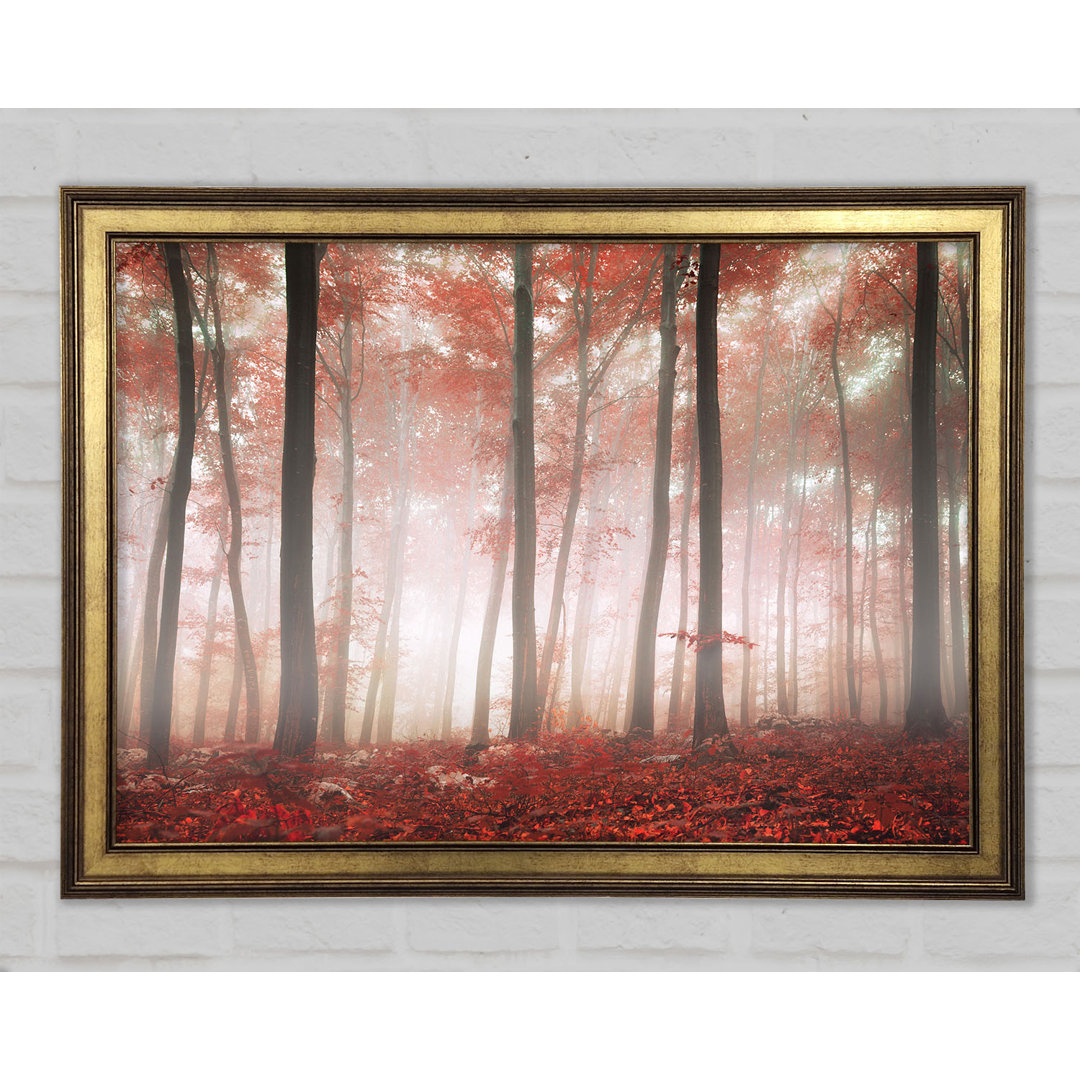 Red Misty Woods - Druck