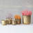 5-Piece Round Metal Fluted Planters With Scalloped Rims