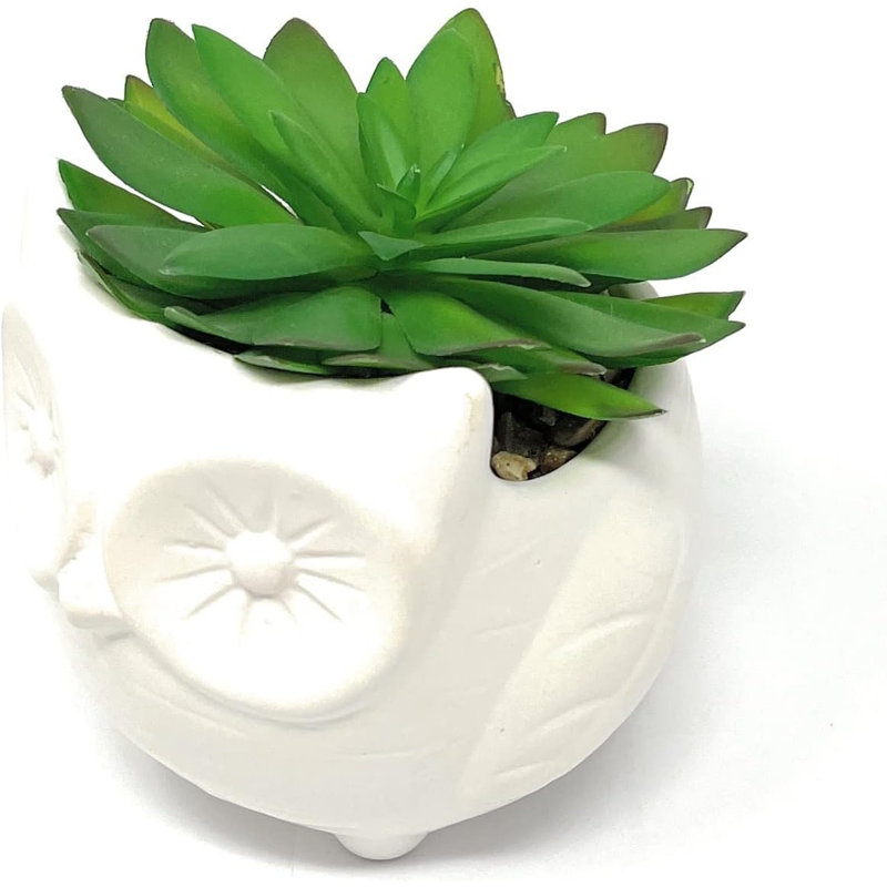 Fausse plante grasse en céramique 4,7 po, Hibou