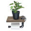 Lach Wall Mounted Toilet Paper Holder