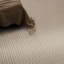 Tapis lavable Soloba-177357932