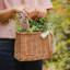 Panier en rotin