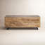 Table basse de style traîneau à plateau relevable avec rangement Balderas-1497209995