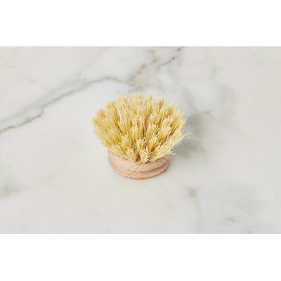 Euro Dish Brush Replacement Head