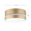 Minier Frosted Glass Flush Mount