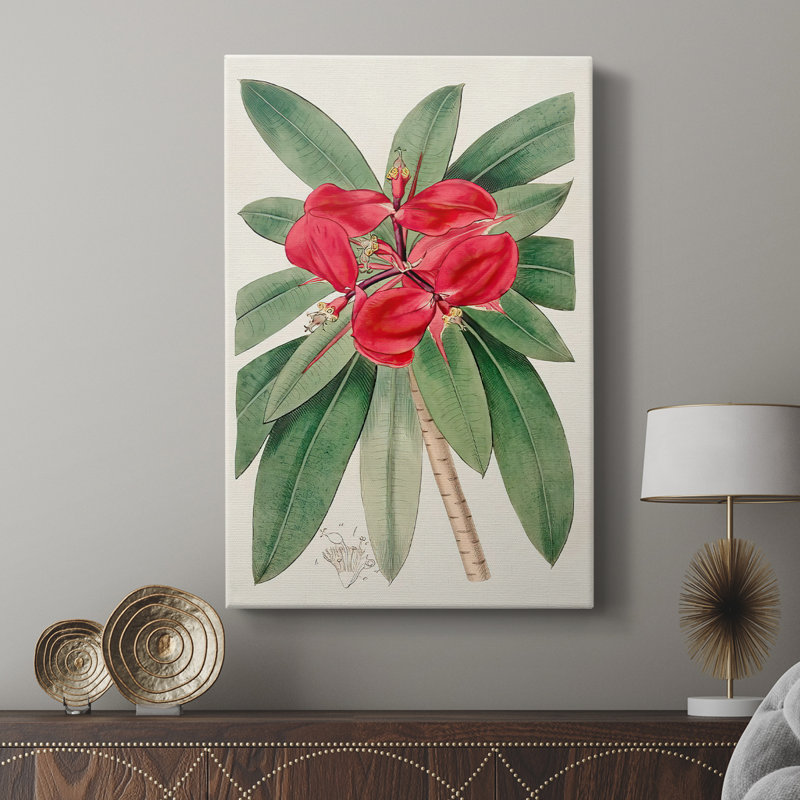 Flora Of TheTropics III - Cavas de galerie sur mesure, H 18 po x l 12 po