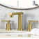 Widespread 2-handle Bathroom Faucet with Drain Assembly