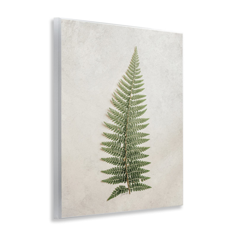 Art détaillé sur plaque de fougère par Jennifer Rigsby