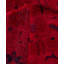 Overdyed Hand-Knotted Wool Modern-Contemporary Red Area Rug 12' 1" x 17' 9"