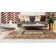 Cevenola Oriental Indoor Rug