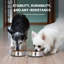 Anti Ant Non-Skid Pet Bowl (2 Bowls)-44765018