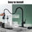 Boyel Living Pull Down Kitchen Faucet-79113187