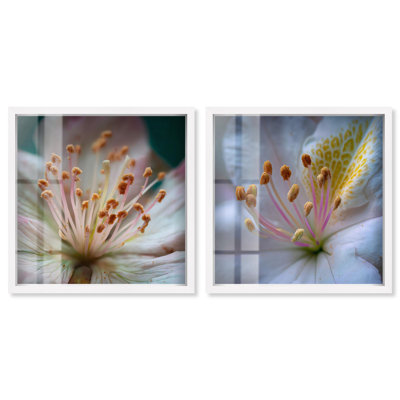 Neutral Tranquillity Botanical Shadowbox Print Wall Decor Set of 2 by Art Remedy, White Frame, 17x17