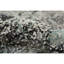 Mystique Abstract Area Rug in Gray-1542691807