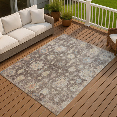 Machine Washable Indoor/Outdoor Chantille ACN2355 Traditional Rug