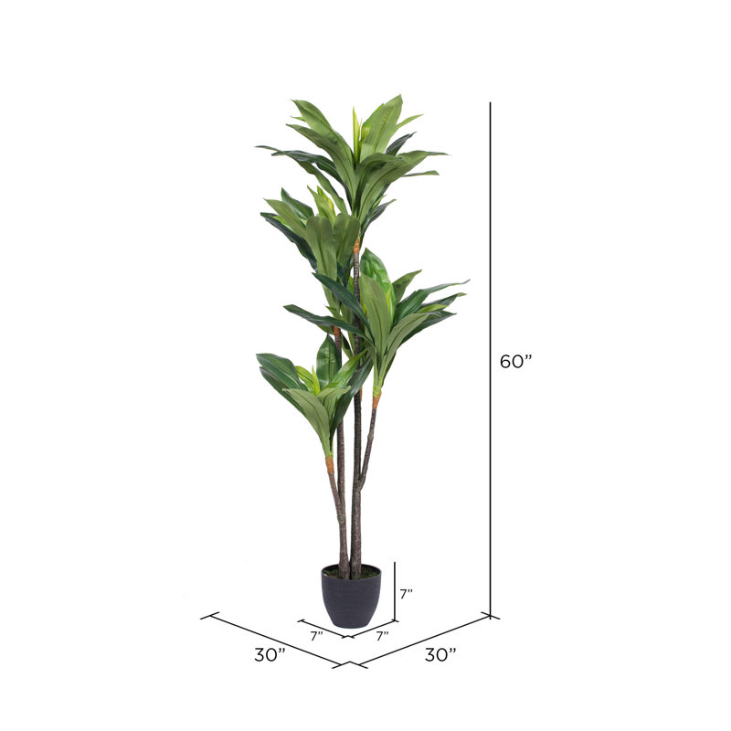 Elegant Silk Touch 63" Dracaena Outdoor Potted Floor Plant