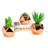 Faux Succulent in Metal Decorative Vase