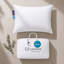 Coussin Goose-33578484