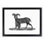 Goat Illustration - Picture Frame Drawing Print-55608132-55608135