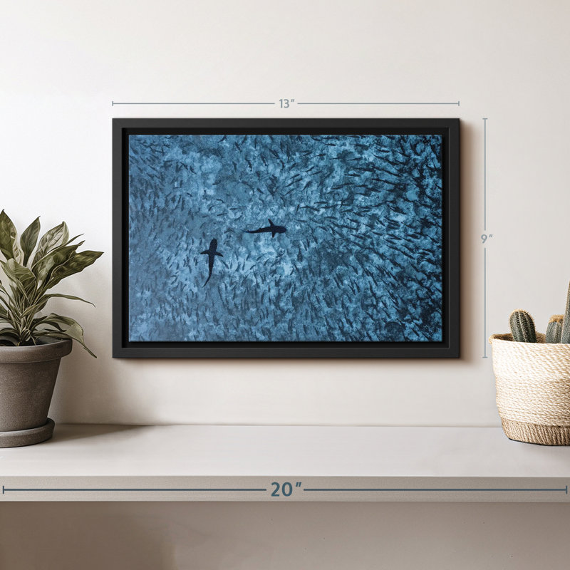 «Sharks and Fish Wall Art», H 9 po x l 13 po