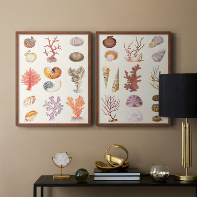 Coral & Shell Collage I-Premium Framed Print -Ready to Hang - No Nails Required - No Nails Required