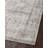 Jujhar Oriental Indoor Rug-1618037336
