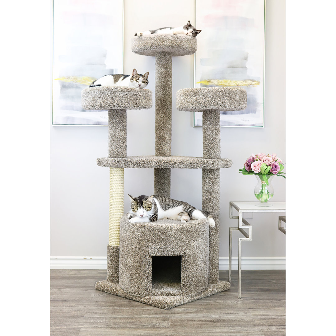 Maine Coon House Cat Condo Prestige Cat Trees 