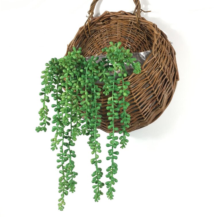 Buy Artificial Flora Artificial String Of Pearls Plant @ £16.00