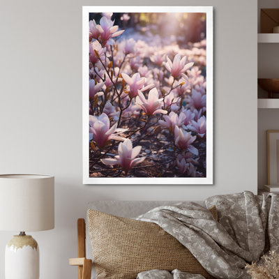 Rose, brun, magnolia, nature, sérénité II