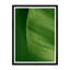 Moshi Banana Leaf Print by Tim Klein