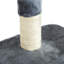 Yerington 146cm H Cat Tree