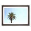 Lone Palm Tree - Picture Frame Graphic Art Print-56859904-56859905