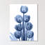 Indigo Spring Tulips - Wrapped Canvas Print-1687682289