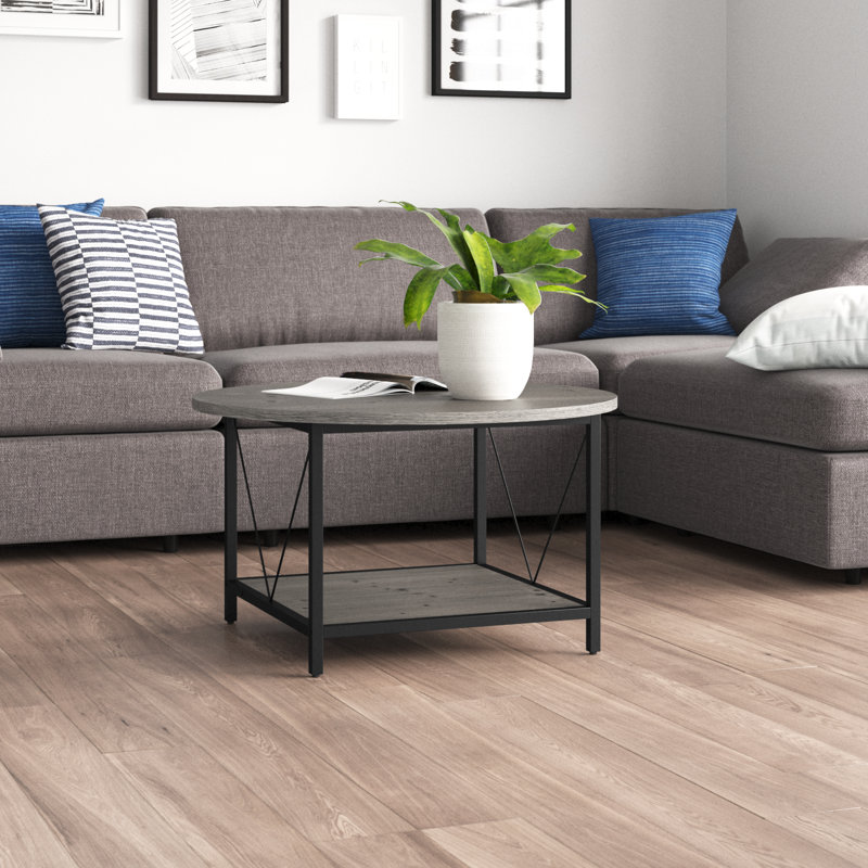 Bertran 31" 4 Legs Round Coffee Table with Storage for Living Room, Gray