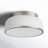 Asuna Glass Flush Mount-603401813