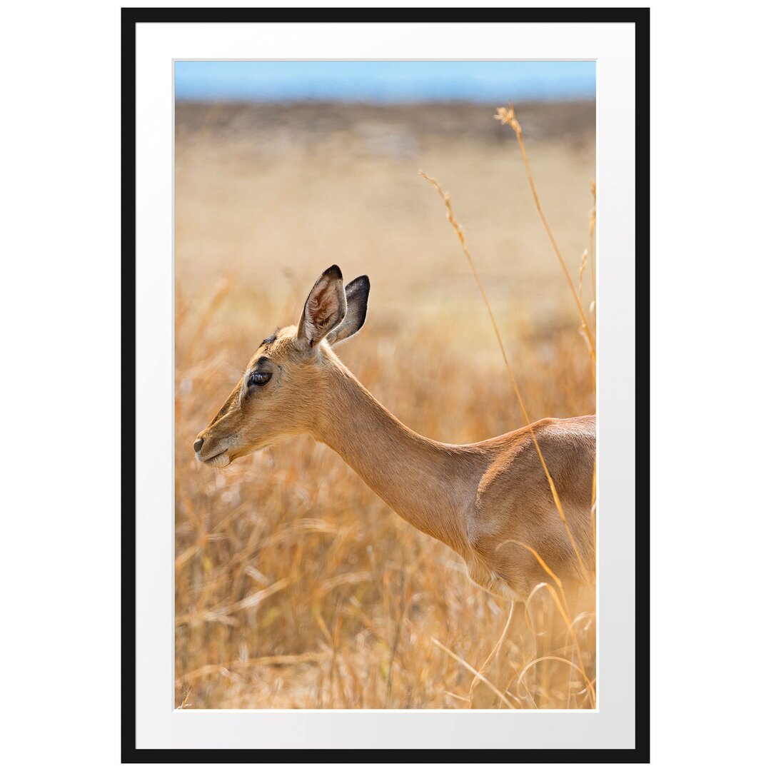 Gerahmtes Poster Gazelle im hohen Gras