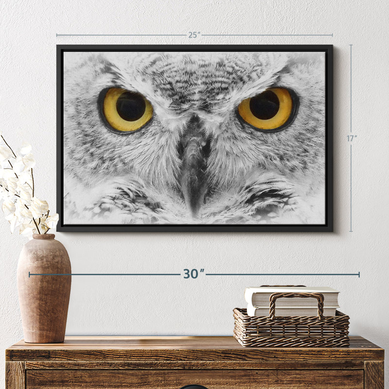 Animal «Gazing Bold Owl», reproduction sur toile, H 17 po x l 25 po